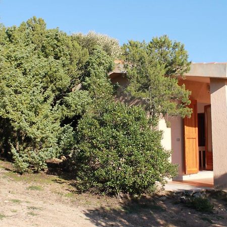 Rena Garden Apartments Santa Teresa Gallura Exteriér fotografie